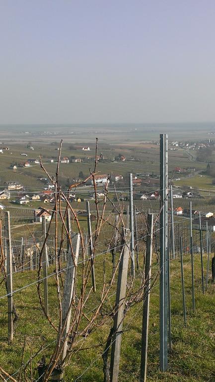 Kellerstoeckl Kamper Villa Eisenberg an der Pinka Екстериор снимка