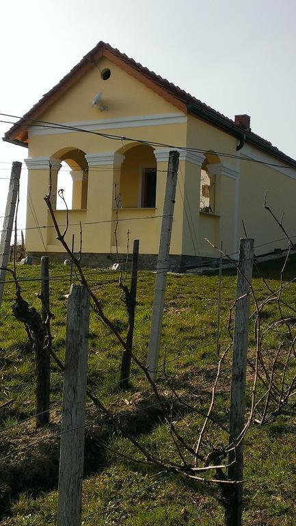 Kellerstoeckl Kamper Villa Eisenberg an der Pinka Екстериор снимка