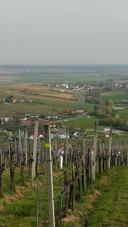 Kellerstoeckl Kamper Villa Eisenberg an der Pinka Екстериор снимка