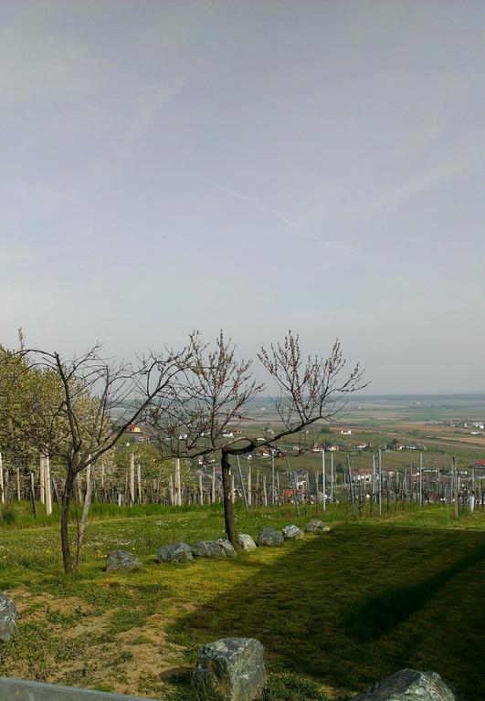 Kellerstoeckl Kamper Villa Eisenberg an der Pinka Екстериор снимка